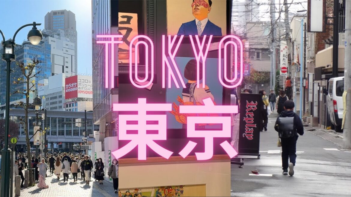 tokyo vibes ٩(◕‿◕。)۶ | food & drink & what to do if you lose your carry on… tokyo vibes ٩(◕‿◕。)۶ | food & drink & what to do if you lose your carry on...