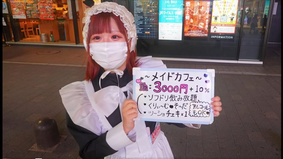 Late Night Joy In Tokyo’s Adult Alleys ,Kabukicho and Drinking Spots Late Night Joy In Tokyo's Adult Alleys ,Kabukicho and Drinking Spots