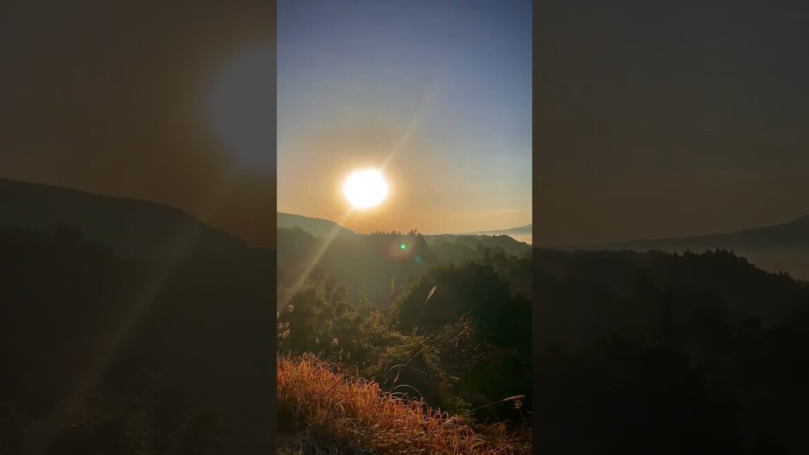 Nature is a gift🥺💕 #fukuoka #japan #travel #beautiful