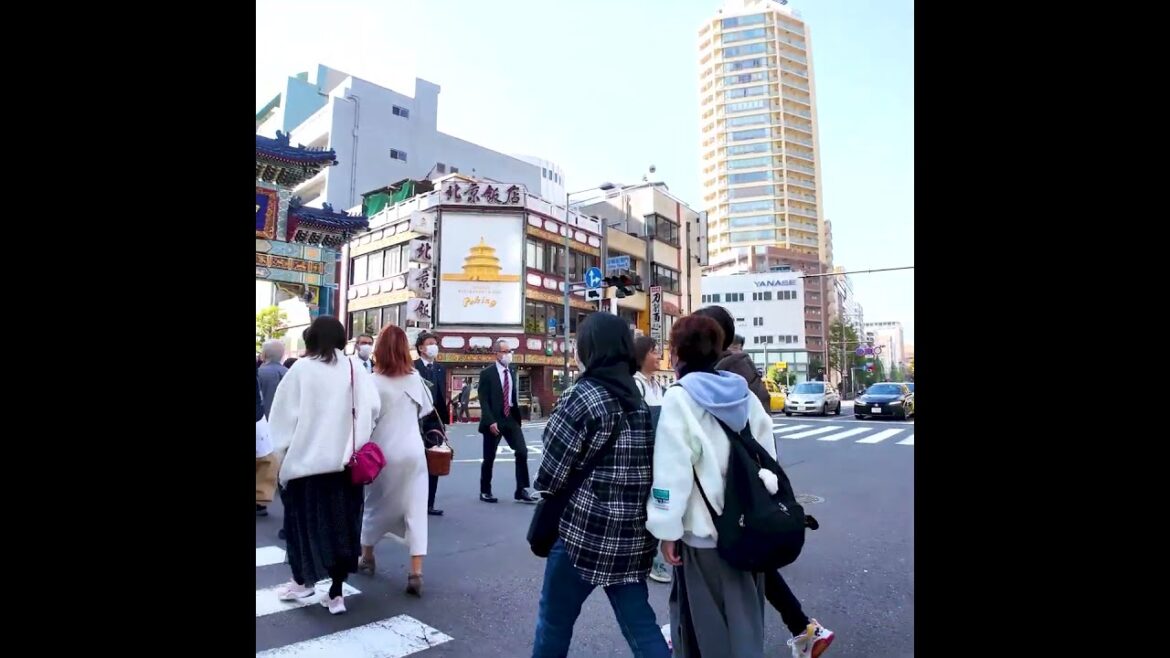 Yokohama Chinatown👍Chinatown entrance gate♪💖Break Time🍹#shorts #japan #walk Yokohama Chinatown👍Chinatown entrance gate♪💖Break Time🍹#shorts #japan #walk