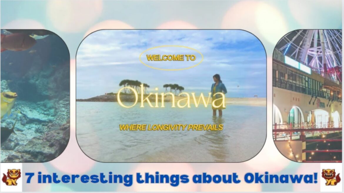 The immortal land |7 unique things about Okinawa |3/47 prefecture | Japan| Healthiest place on Earth The immortal land |7 unique things about Okinawa |3/47 prefecture | Japan| Healthiest place on Earth