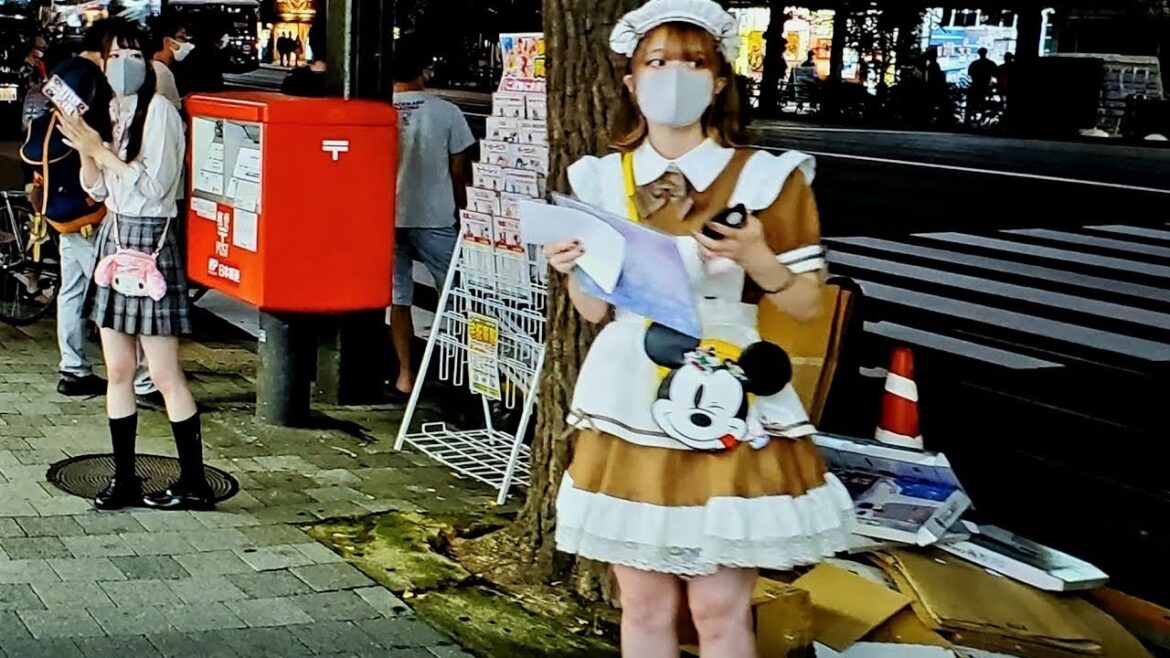 Tokyo Night Adventure in Akihabara ( Cosplay ,Maid café, Anime) Tokyo Night Adventure in Akihabara ( Cosplay ,Maid café, Anime)