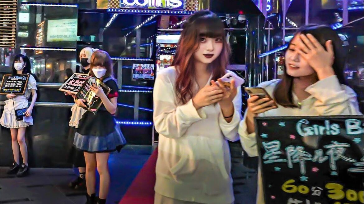 SEDUCTIVE on the Outside but Dangerous Inside, Tokyo’s Kabukicho SEDUCTIVE on the Outside but Dangerous Inside, Tokyo's Kabukicho