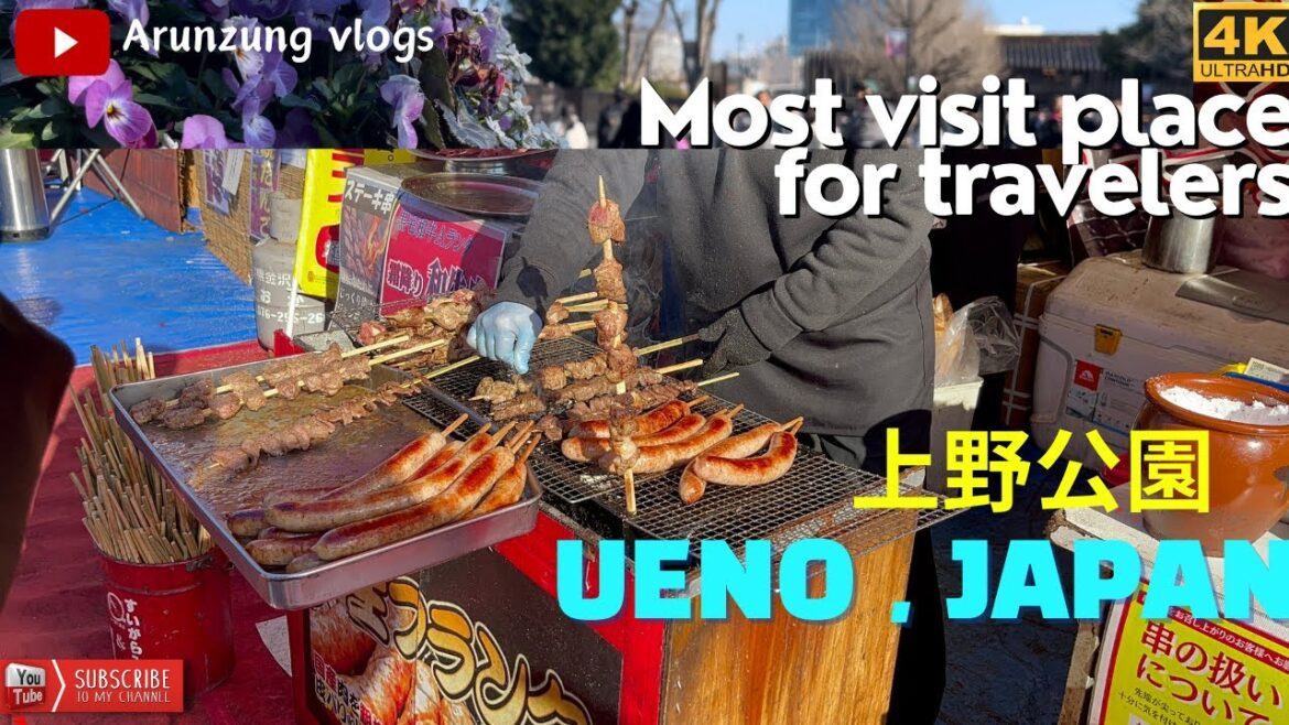 上野公園| Ueno park in Tokyo 2024,Japan travel vlog🇯🇵4K day trip