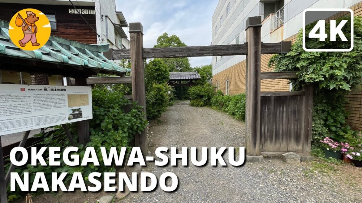 NAKASENDO TRAIL Part 6 | Okegawa-shuku 4K Japan Saitama Walking Tour 桶川宿中山道埼玉県