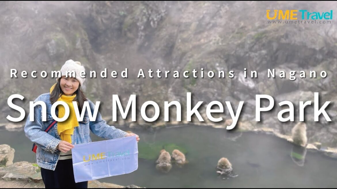 Recommended Attractions in Nagano:Snow Monkey Park Recommended Attractions in Nagano:Snow Monkey Park