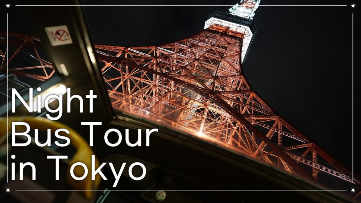 Wanna look around the night of Tokyo? We have a night tour bus! Wanna look around the night of Tokyo? We have a night tour bus!