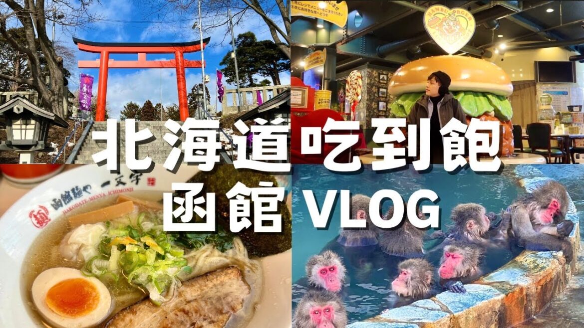 北海道❄️函館48小時獨旅｜海鮮丼吃到飽、函館朝市釣烏賊🦑超大碗的湯咖哩、小丑漢堡、湯倉神社透明御守⛩️函館美食Vlog