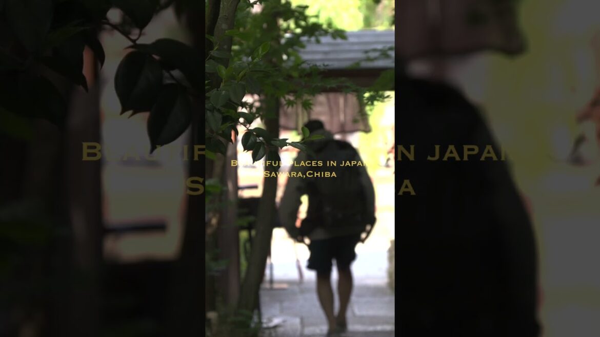 絶景旅行／千葉県 佐原（Sawara,Chiba,Japan） #travel #絶景 #japan #shorts #旅行 #絶景スポット