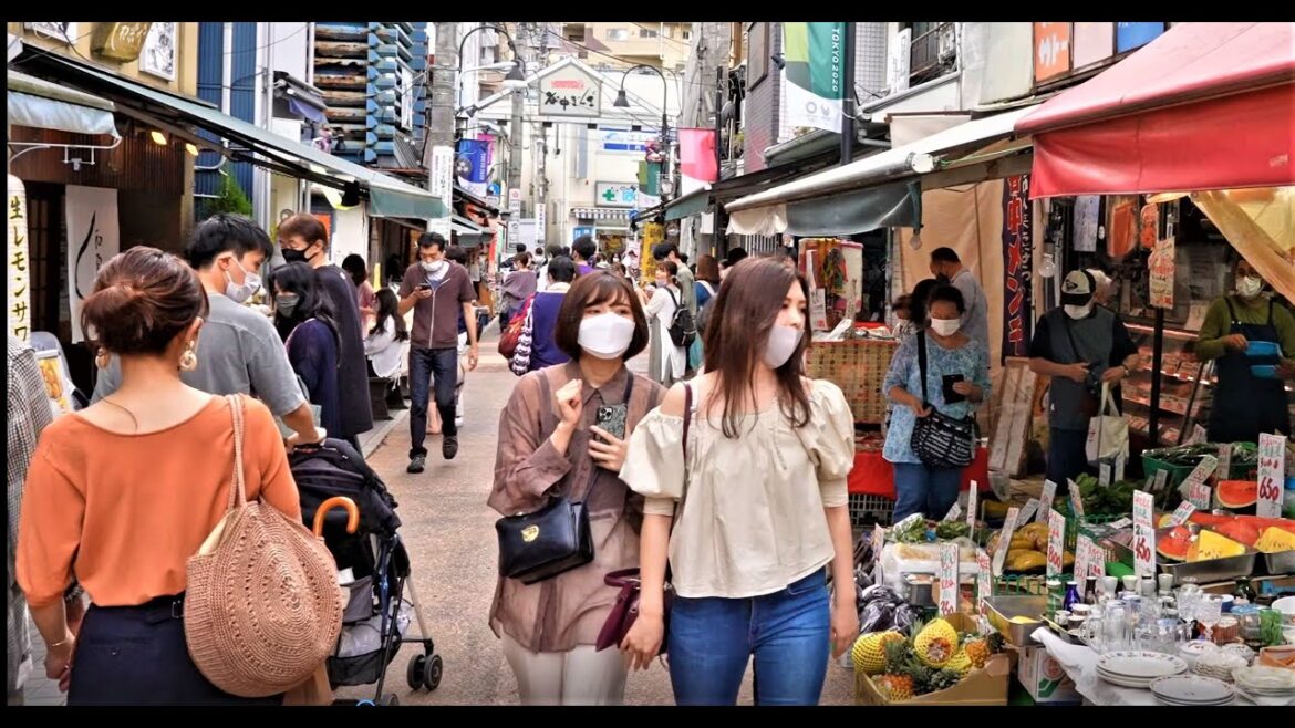 【4K】 Experience Tokyo’s Nostalgic and Best Old-Fashioned Yanaka 【4K】 Experience Tokyo’s Nostalgic and Best Old-Fashioned Yanaka