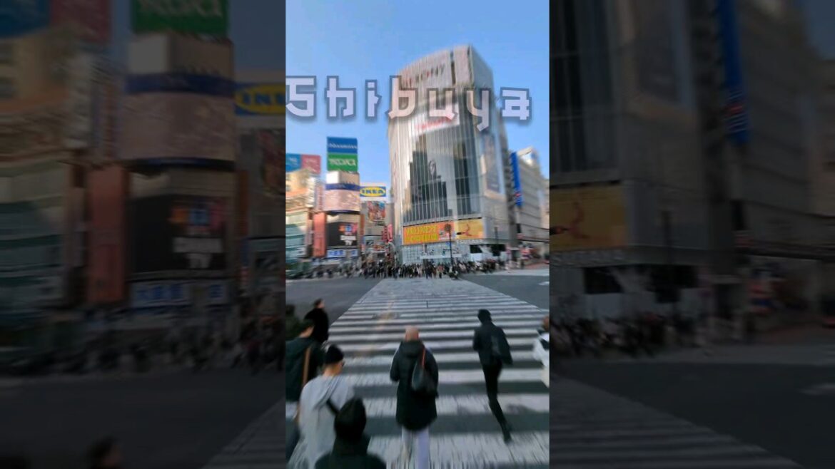 Your Guide to World's Busiest Crossing - Shibuya, Tokyo! #shorts #japan #tokyo #shibuya #trending