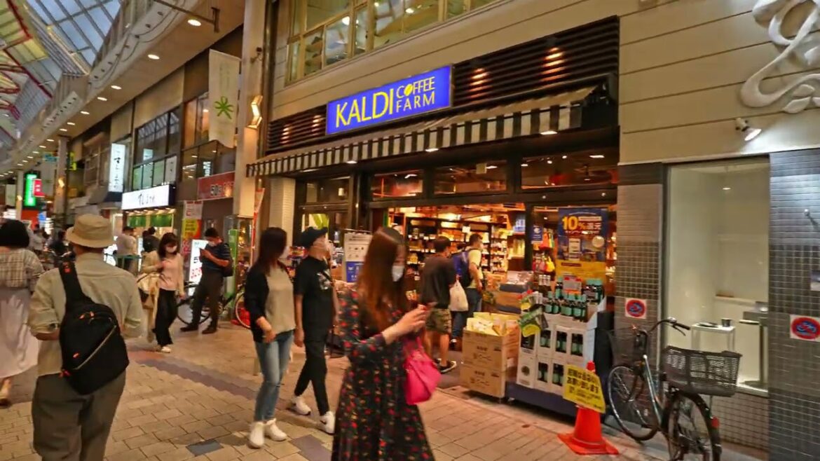 【4K】Tokyo's  Heaven for living prosperity In West Side