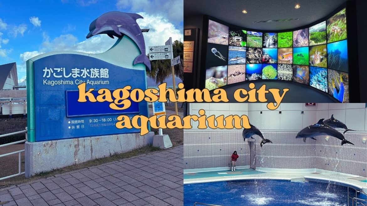 Kagoshima City Aquarium Walking Tour