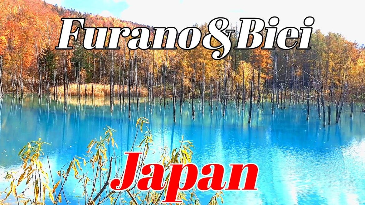 【Must see!!】Amazing views Furano in Japan for tourist [4K]