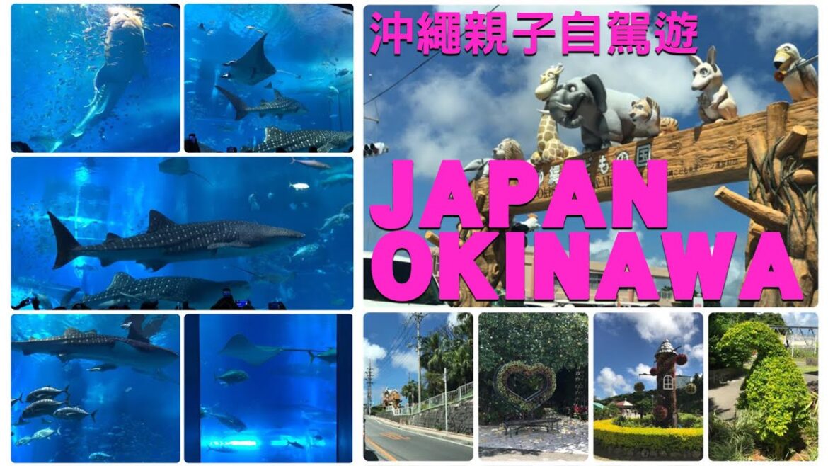 🇯🇵 Okinawa Family Trip Part Two – Day3 & Day4 | 沖繩親子遊 | JAPAN OKINAWA FOR KIDS 🇯🇵 Okinawa Family Trip Part Two - Day3 & Day4 | 沖繩親子遊 | JAPAN OKINAWA FOR KIDS