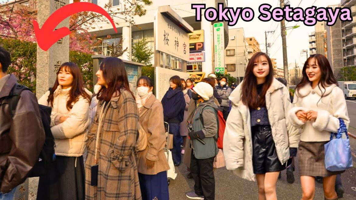 People Line Up In Tokyo Setagaya for This People Line Up In Tokyo Setagaya for This