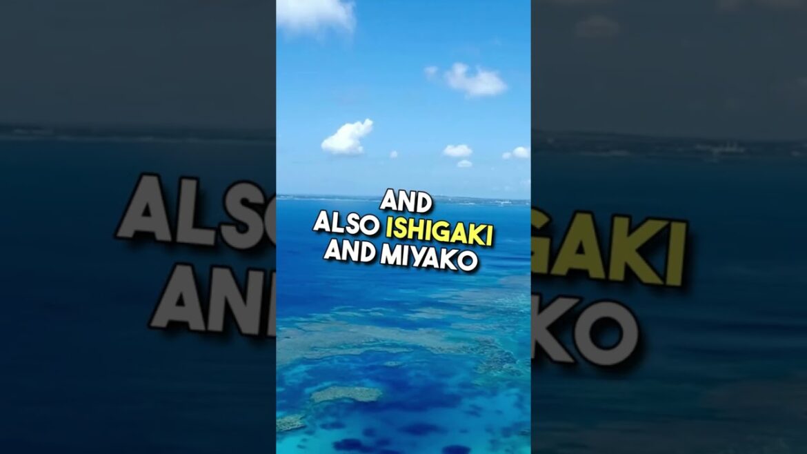 The tropical Okinawa, Japan | Japan Travel guide!!! #okinawa #japantravel #japantravelguide The tropical Okinawa, Japan | Japan Travel guide!!! #okinawa #japantravel #japantravelguide