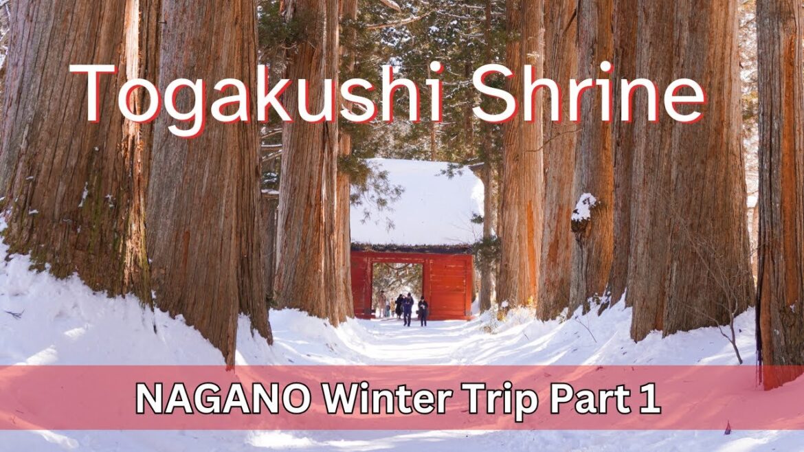 Hiking at Togakushi Shrine – Nagano Winter Trip Part 1 Hiking at Togakushi Shrine - Nagano Winter Trip Part 1
