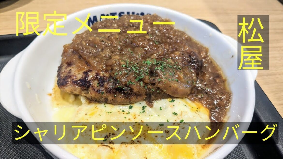 松屋　限定メニュー　シャリアピンソースハンバーグ定食　おいしい　Matsuya, Chaliapin sauce hamburger set meal, Japan food tour