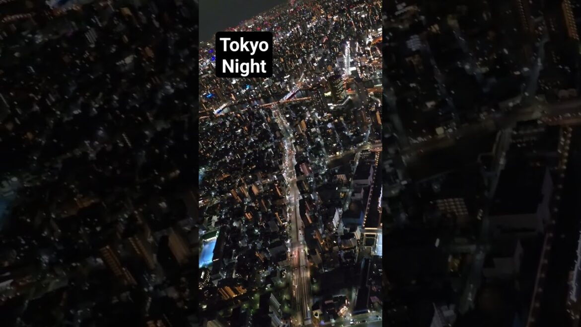 Skytree views of Tokyo day and night.  #skytree #japan #Tokyo #travel #youtubeshorts #shorts