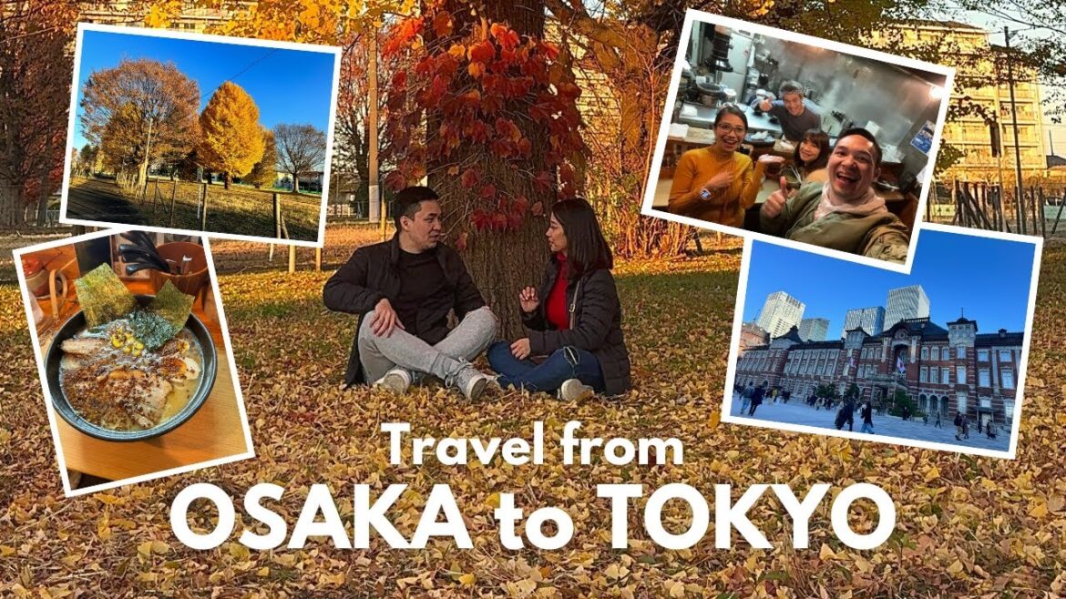 Osaka to Tokyo | Day 3 and 4 in Japan | Couple Travel 2024 Osaka to Tokyo | Day 3 and 4 in Japan | Couple Travel 2024