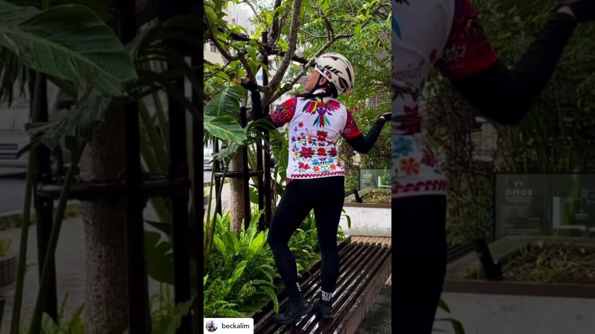 From Naha to Nago #biketouring Okinawa, Japan. #mybrompton best coffee at Okinawa Cerrado Coffee!