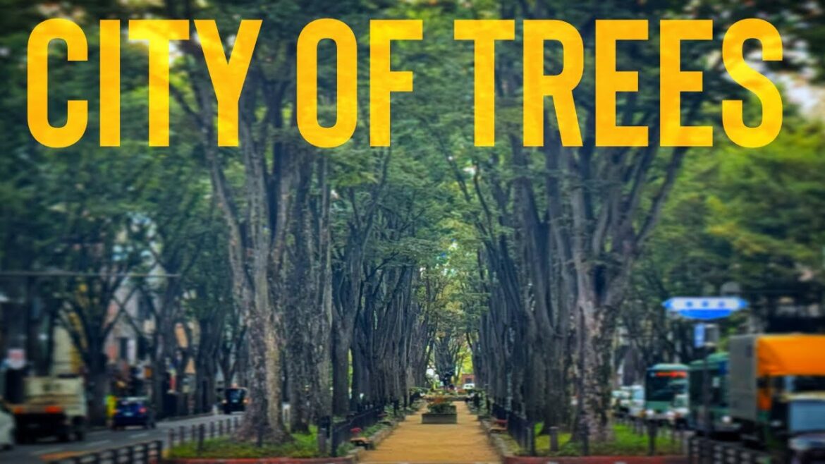 Walking in Sendai, Japan - 4K Virtual Walk