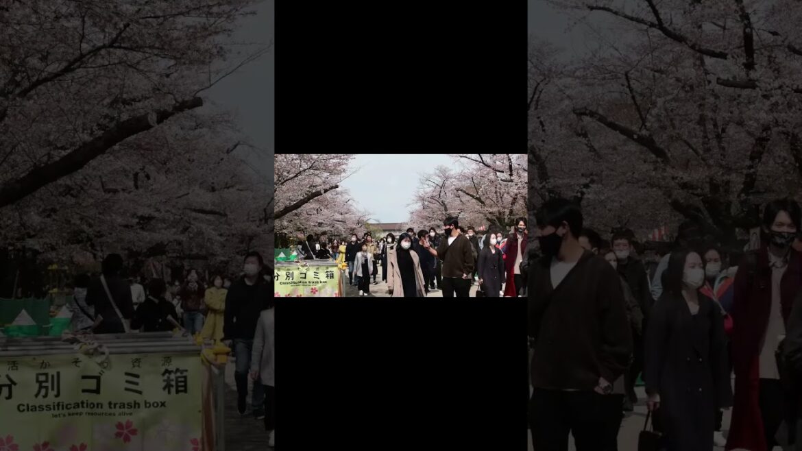 Top 10 Best Things To Do In Tokyo l Japan Travel Guide 2024#japan #tokyo #travel