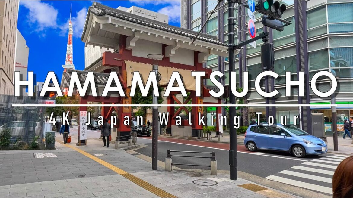 Japan walking tour in Hamamatsucho February 2024 4K 60fps Japan walking tour in Hamamatsucho February 2024 4K 60fps