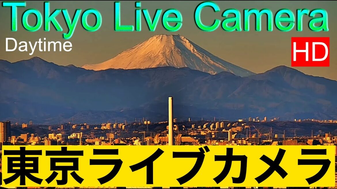 【LIVE】WEST TOKYO LIVE CAMERA.  Mt'Fuji from Tokyo  西向き東京ライブカメラ,　富士山　紅富士　赤富士　東京からの富士山