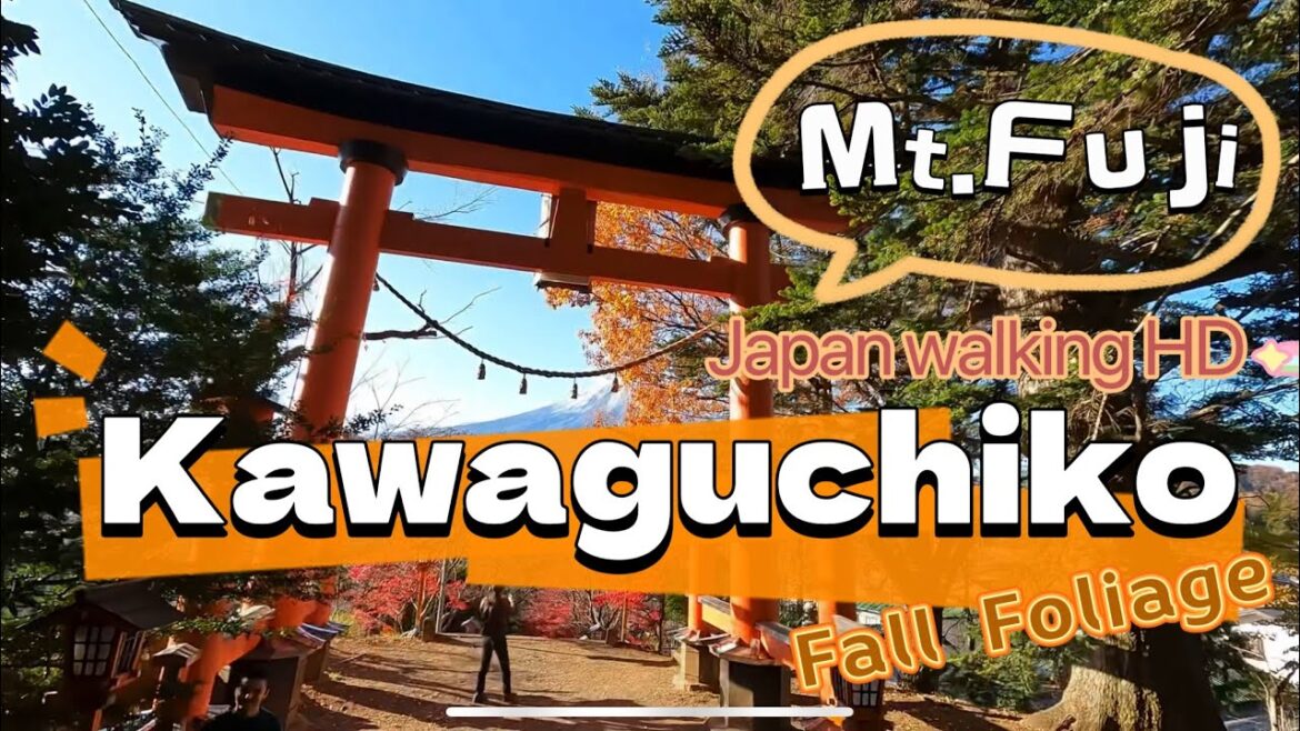 Kawaguchiko stunning viewing spots of Mt. Fuji | Exploring Lake Kawaguchi Japan