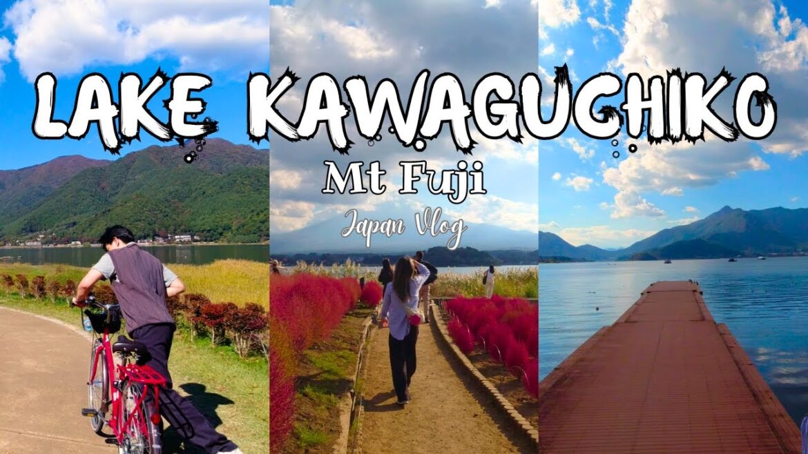 JAPAN VLOG | Riding bikes around Lake Kawaguchiko | Mt Fuji, Oishi Park & Yagizaki Park