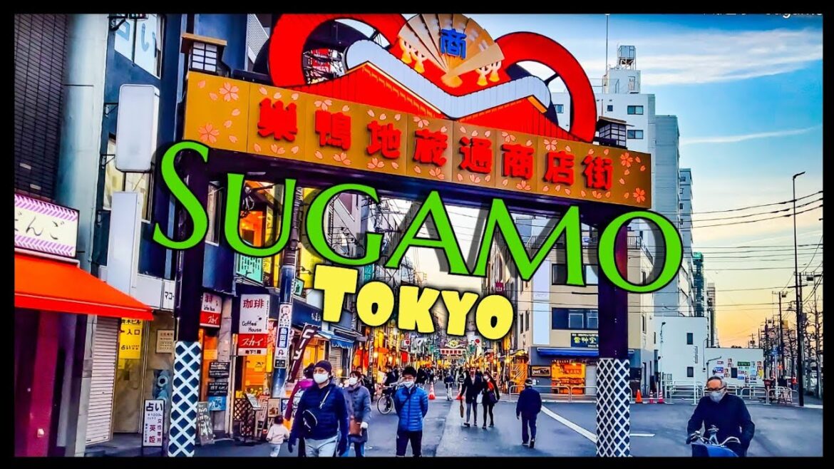 【4K】Japan Walk - Tokyo ,February 2021,Sugamo,巣鴨 #Japan #Tokyo #巣鴨#Sugamo#巣鴨地蔵通り#Sugamo Jizodori