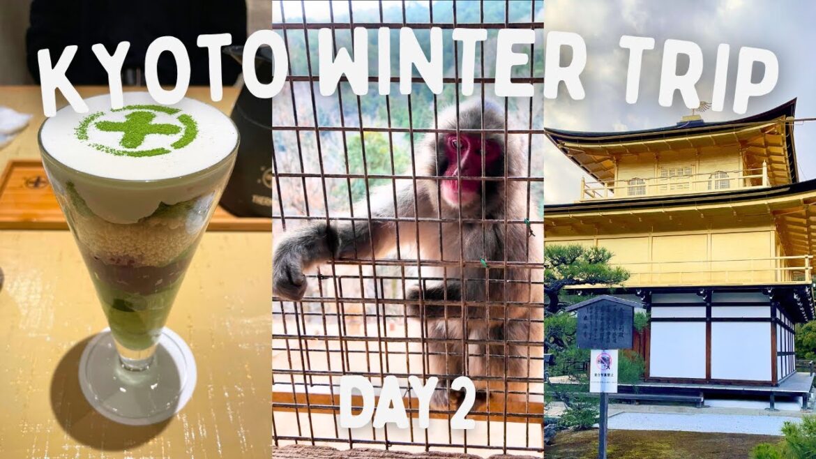 Kyoto Winter Travel Day 2 🐵 2-day Itinerary (2024)