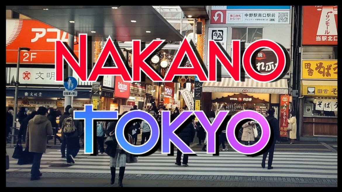 【4K】Japan Walk - Tokyo ,February 2021,Nakano 中野区 and Nakano Broadway中野ブロードウェイ #Tokyo #中野ブロードウェイ