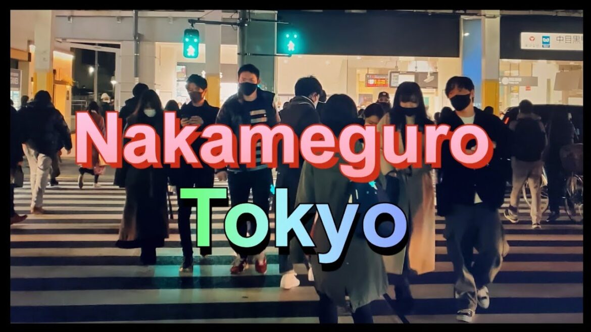 【4K】Japan Walk - Tokyo ,February 2021,Nakameguro,中目黒#Japan #Tokyo #中目黒#Nakameguro
