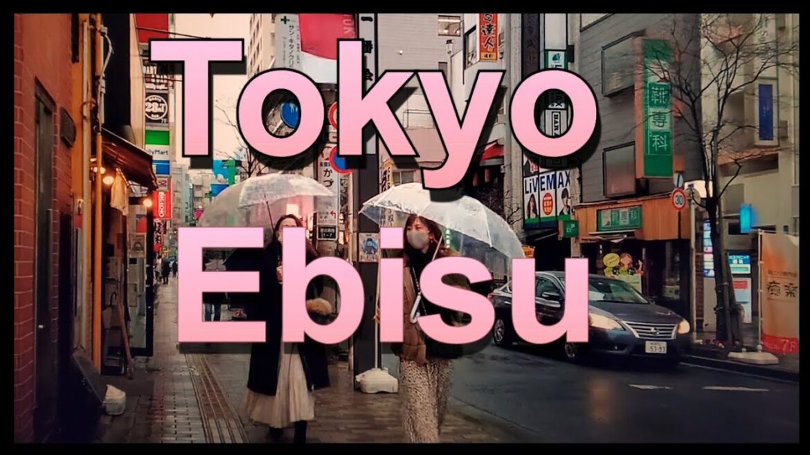 【4K】Japan Walk - Tokyo ,January 2021,Ebisu rainy day恵比寿#Japan #Tokyo #Ebisu #恵比寿