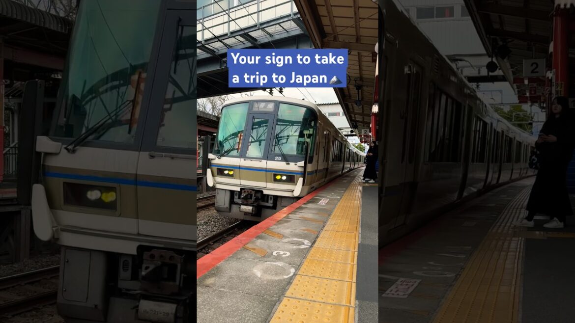 Your sign to visit to Japan 🇯🇵🗻  #japantravels #japantravel #japanvlog #solotravel #fy #shorts