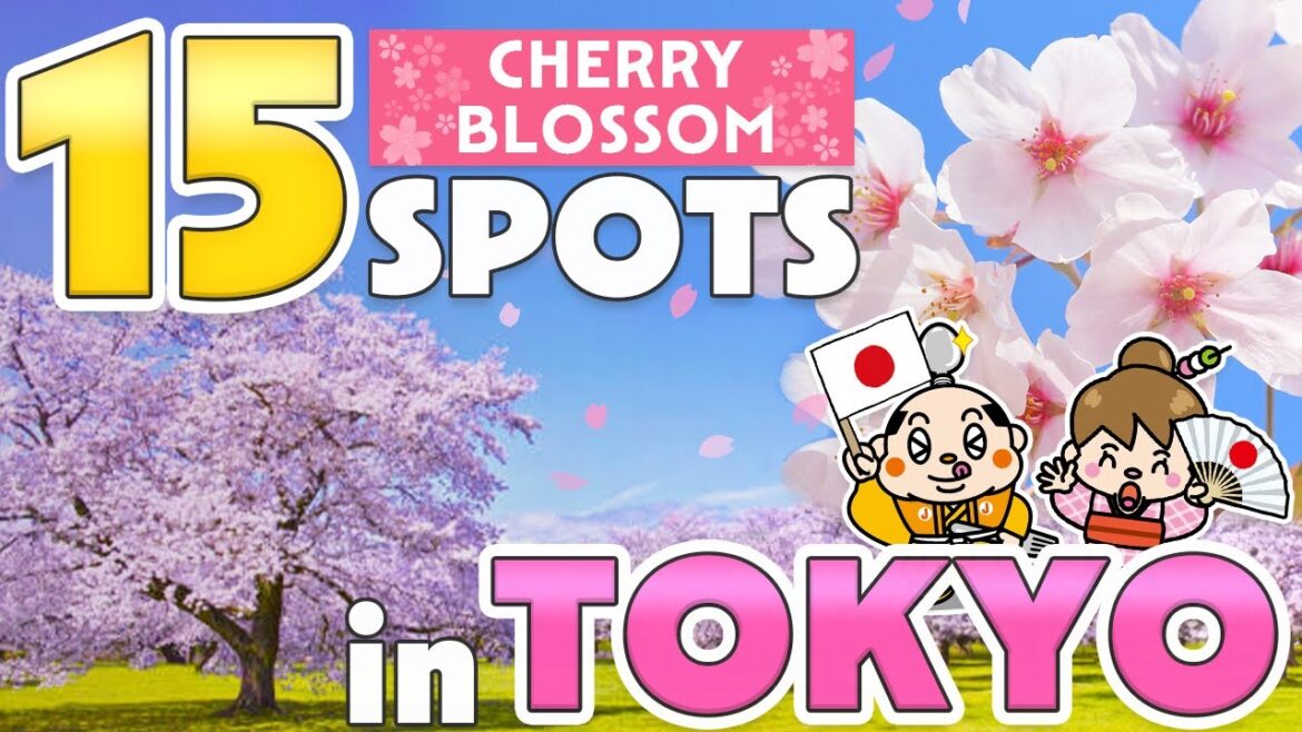 Tokyo Cherry Blossom Spots / Things to know before traveling to Japan / Spring Travel Tips 2024 Tokyo Cherry Blossom Spots / Things to know before traveling to Japan / Spring Travel Tips 2024