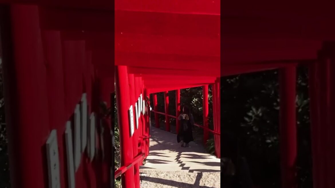 Our day tours from Fukuoka will find your private touring party spectacular sites like this one. Our day tours from Fukuoka will find your private touring party spectacular sites like this one.