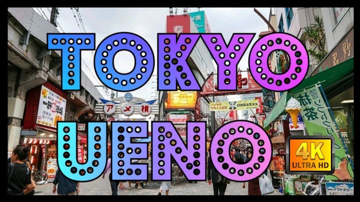 【4K】Japan Walk - Tokyo ,December 2020, Ueno ,Ameyoko (アメ横) super crowds in New Year's Eve ,大晦日