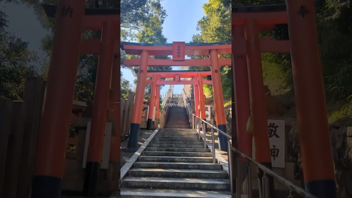 From Mt.Takatori Beautiful townscape of Kobe｜The Inland Sea, SETOUCHI Tourism Authority｜JNTO Members