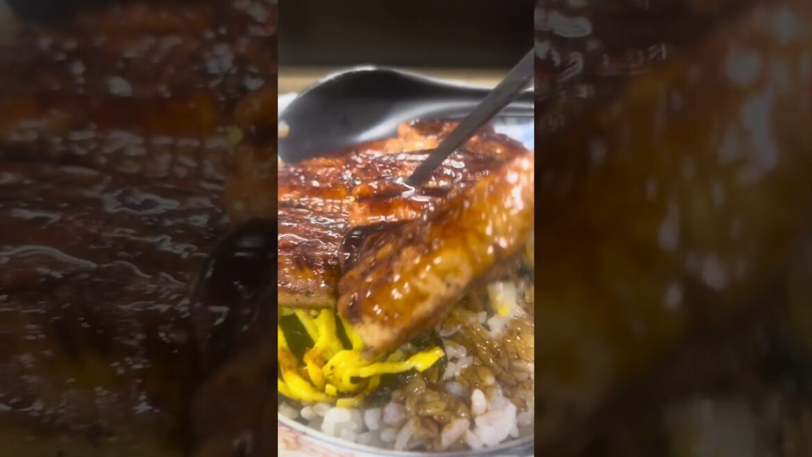 Japanese eel rice specialty