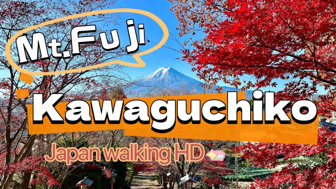 Kawaguchiko Best Viewing Spots of Mt. Fuji | Exploring Lake Kawaguchi Japan