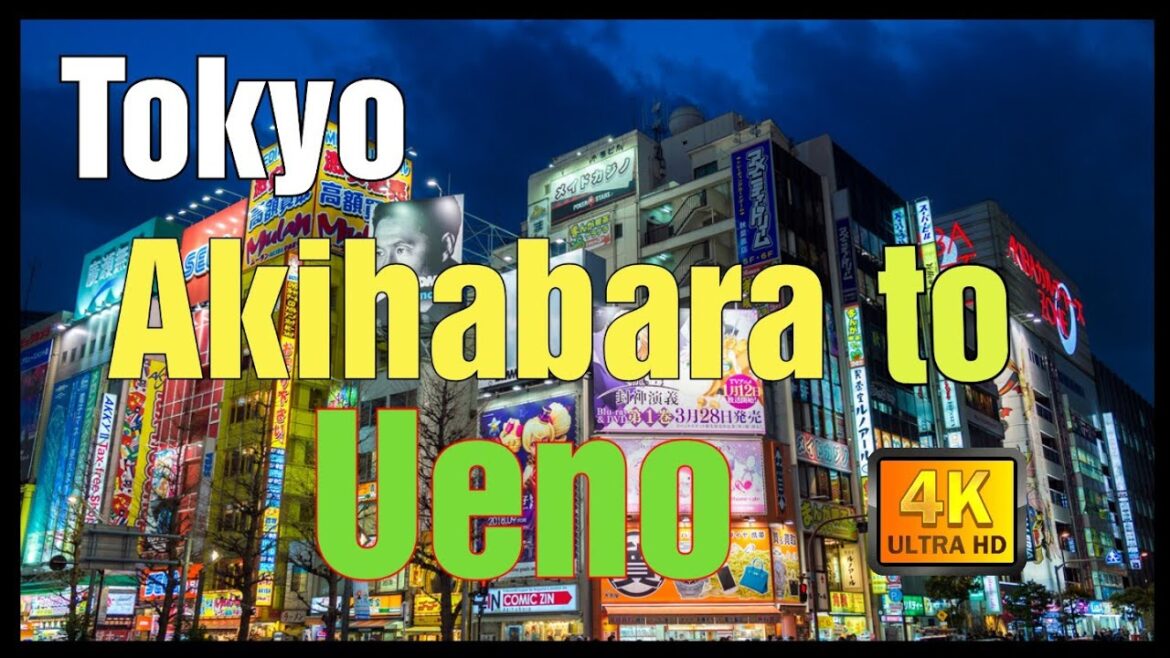 【4K】Japan Walk - Tokyo ,December  2020,#Japan #Tokyo #Akihabara (秋葉原) to Ueno 上野