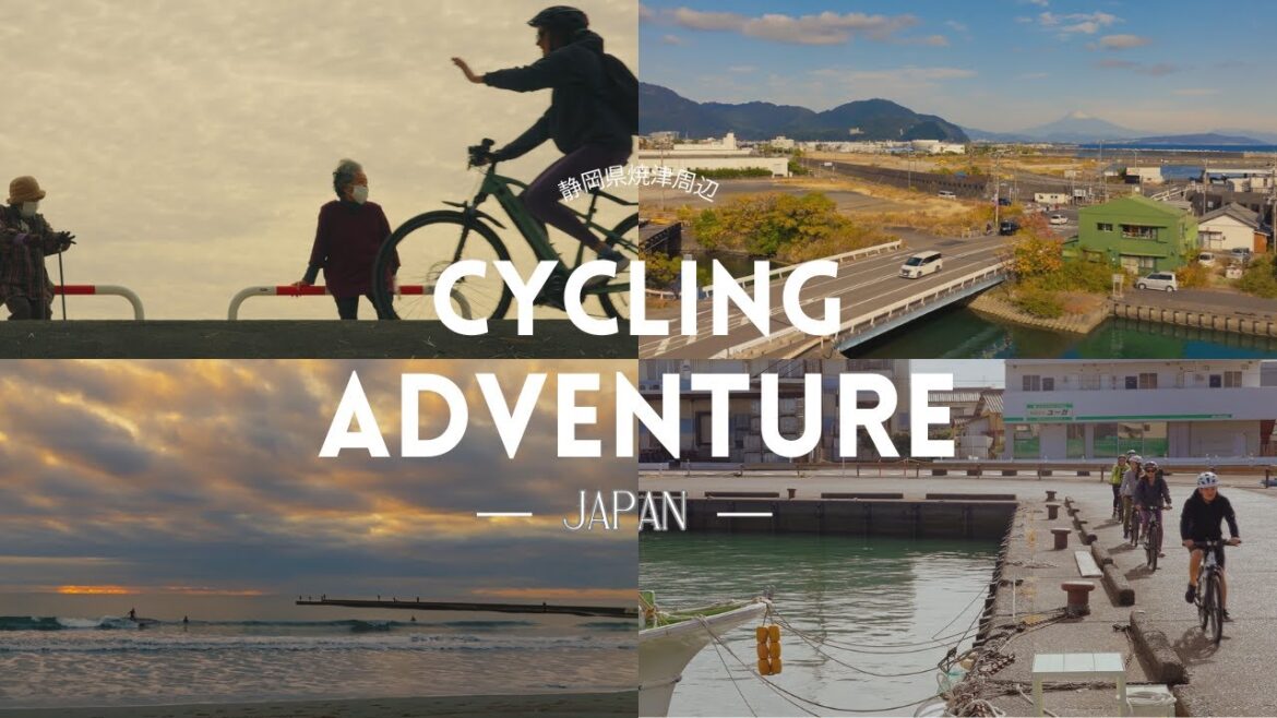 Tea Tour in Shizuoka: Cycling Adventure in Yaizu with Gyokuro Tea Delights/静岡サイクリングとお茶体験 Tea Tour in Shizuoka: Cycling Adventure in Yaizu with Gyokuro Tea Delights/静岡サイクリングとお茶体験