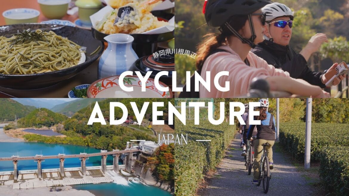 Tea Tour in Shizuoka: Cycling through Kawane's Tea Fields/静岡サイクリングとお茶体験