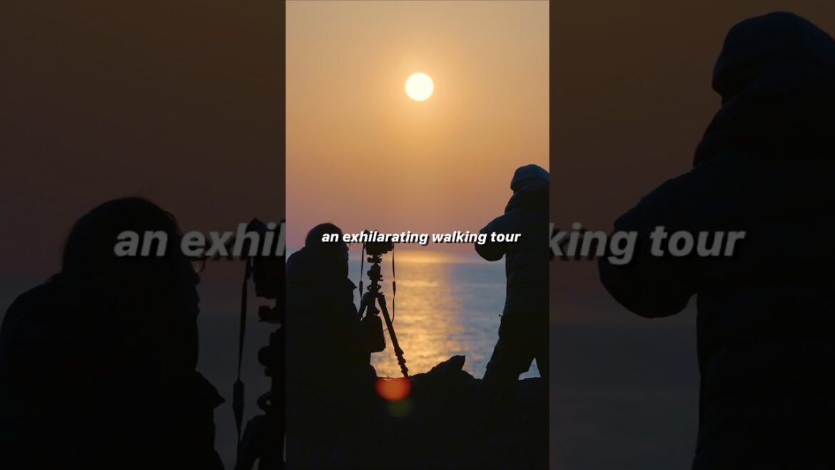 Walk the Glorious Jogasaki Coast｜Tourism Shizuoka Japan｜JNTO Members