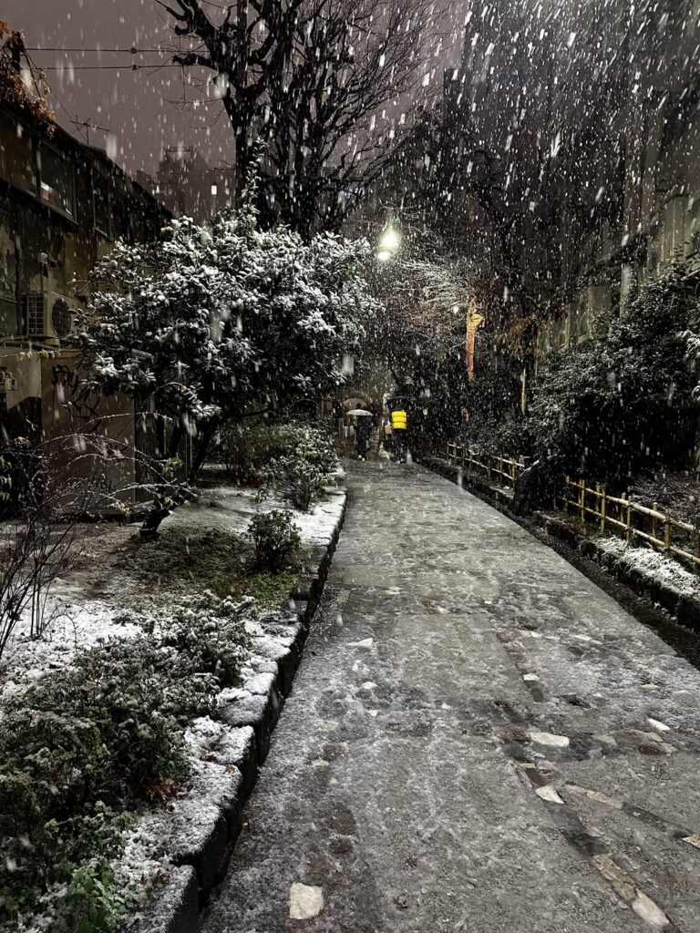 Beautiful snowy Tokyo