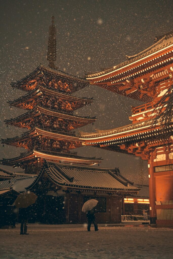 The Great Tokyo Snowstorm of 2024